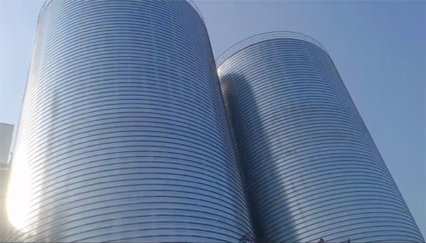 王下乡2座混凝土高架卷板仓